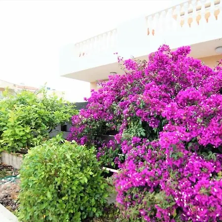 Apartman Pool-side 2 Bedroom In *